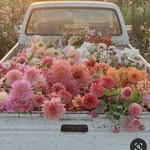 abbey hope photography - @the.littlethingsphotography - Instagram