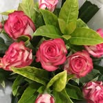 Jane Feltham - @abbeyjamesflowers1 - Instagram