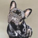 Abbey-leigh - @petportraitsbyabbey - Instagram