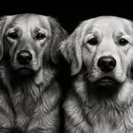 Abbey & Marshall Whitbeck - @whittylifeofabbeyandmarshall - Instagram