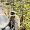 Abbey Monk - @vunk.f8_cclj - TikTok