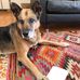 Abbey to the moon - Facebook