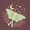abbeymoran376 - @abbeymoran376 - TikTok