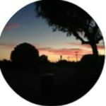 abbey  morrison - @abbey4056 - Instagram