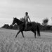 Abby Morrison - Facebook