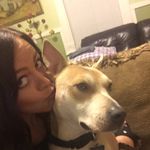 Abbey Jane Moser - @abbeyjanemoser - Instagram