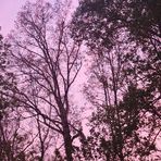 Abby Moser - Facebook