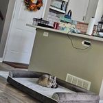 Abbey Moss - @stitch6263010 - Instagram