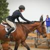 Abbey Mullins - @abbey.mullins.eq - TikTok