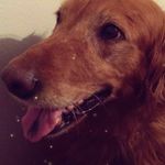Abbey - @abbeynobles - Instagram