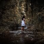Abby Nolan - Facebook