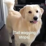 Abbey Normal - @abbeyisnotnormal3 - Instagram