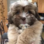 Abbeynormalnagi - @abbeynormalnagi - Instagram