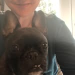 Abbey Norton - @roccosmom123 - Instagram