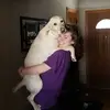 Abbey Olsen - @abbeyolsen9 - TikTok