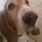 Abby Overholser - Facebook