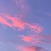 abbeypaterson - @abbeypatterson - TikTok