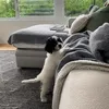 paulabbey472 - @paulabbey472 - TikTok
