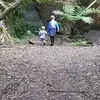 abbeypayne455 - @abbeypayne455 - TikTok