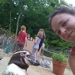 Abbey Pearson - @abbeypenguinpearson - Instagram