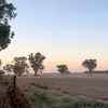 Abbey Pearson - @abbeypearson6 - TikTok