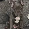 Abbey Pearson - @abbey.pearson50 - TikTok