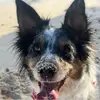 abbeyperry11 - @abbeyperry11 - TikTok