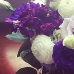 Abbey Pope - @abbey995 - Instagram