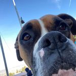 Abby Rettig Mattson - @abbmattson - Instagram