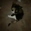 Abbey Richards - @abbey.richards12 - TikTok