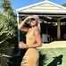 Abbey Richards - Facebook