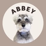 𝗔𝗕𝗕𝗘𝗬 - @abbey_road___ - Instagram