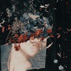 abbey robinson x - @abbey_robinson - TikTok