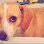 Abbey - @abbeyroed - Instagram
