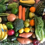 Abbey Schroeder - @cooking.with.kidz - Instagram