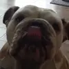 abbey.scott97 - @abbey.scott97 - TikTok