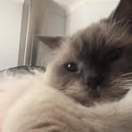 Abigail Shackleton - Facebook
