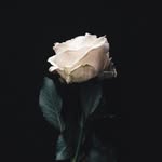 Abbeyshaw - @abbeyshaw23 - Instagram