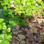 Abby Sheehan - @abby.sheehan.73 - Instagram