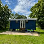 Oystercatcher - @shepherd__hut_low_abbey - Instagram