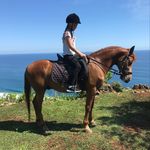 Abbey Simon - @abbey.loves.horses - Instagram