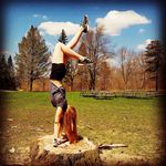 Abbey simon - @kipsgymnastabbey - Instagram