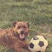 Abbie Sims - Facebook