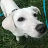Abbey&Snow - @abbeyandsnow - TikTok