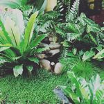 Abbey Stephens - @a_bbe_y.spamm_s - Instagram