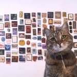 Abby + Stuart - @20dollarartshowbend - Instagram