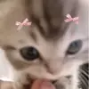 yagirlabbeyAbbey Stuart - @abbeystuart50 - TikTok
