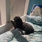 Abbey Sutherland - @sutherland4674 - Instagram