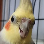 Abby Sweeney - @abbysweeney13 - Instagram