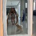 Abbey Thompson - Facebook